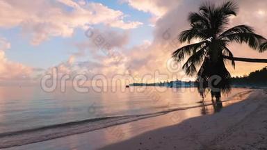 日出覆盖热带海滩和棕榈树。 早上在异国情调的加勒比海岛。